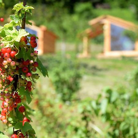 Mountain View Glamping Villa Dovje Kültér fotó