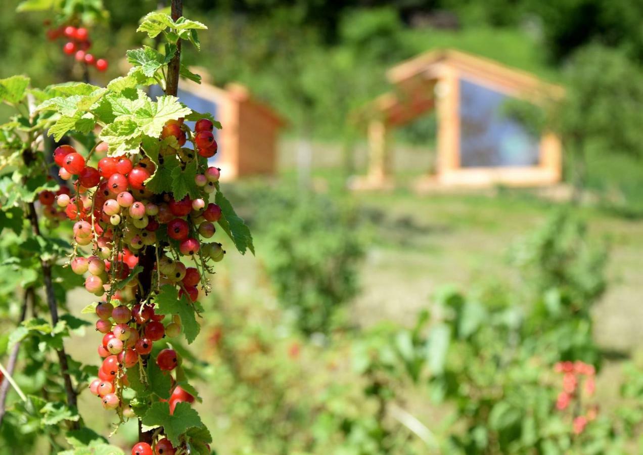 Mountain View Glamping Villa Dovje Kültér fotó