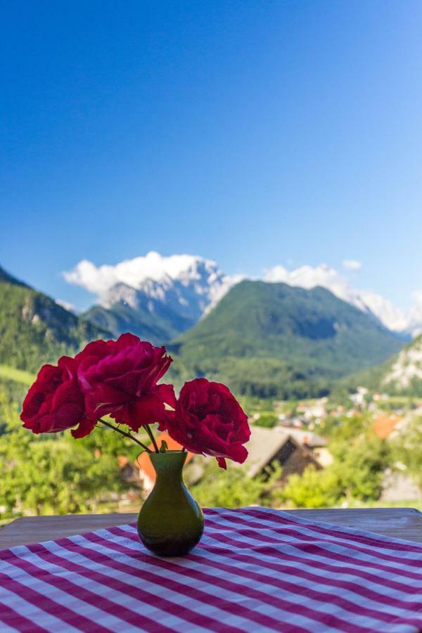 Mountain View Glamping Villa Dovje Kültér fotó