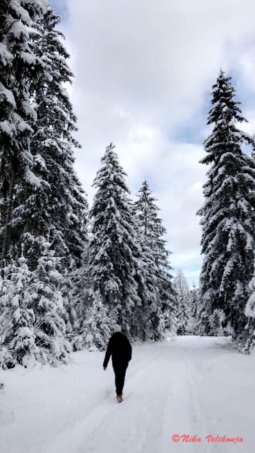 Mountain View Glamping Villa Dovje Kültér fotó