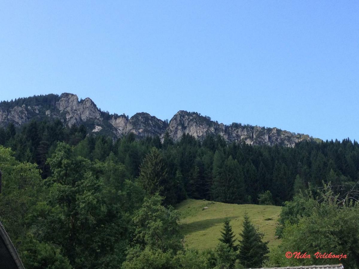 Mountain View Glamping Villa Dovje Kültér fotó