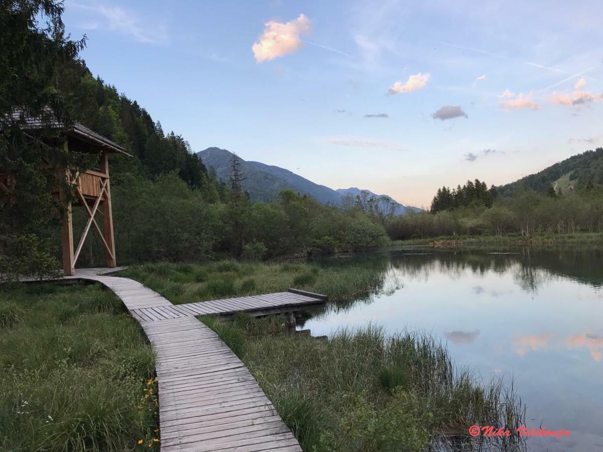 Mountain View Glamping Villa Dovje Kültér fotó