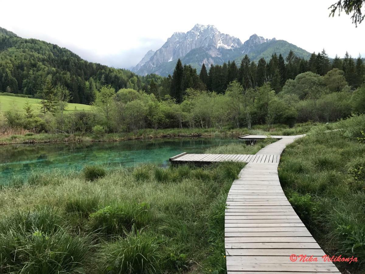 Mountain View Glamping Villa Dovje Kültér fotó