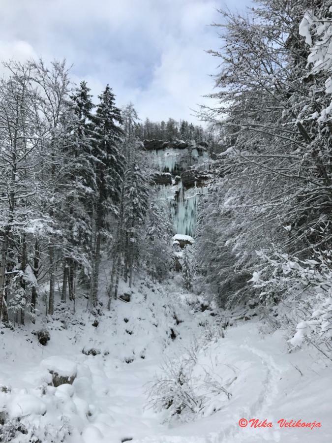 Mountain View Glamping Villa Dovje Kültér fotó