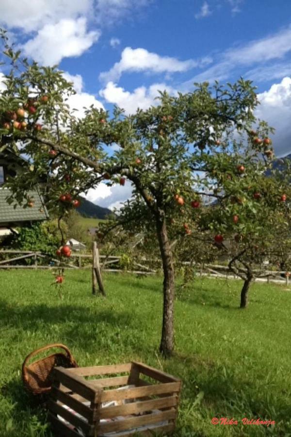 Mountain View Glamping Villa Dovje Kültér fotó